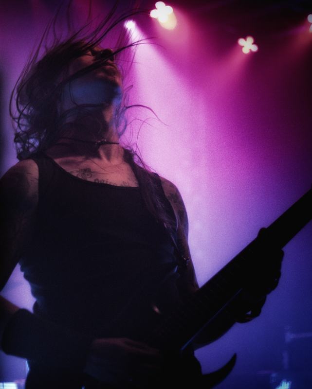 Infestus live