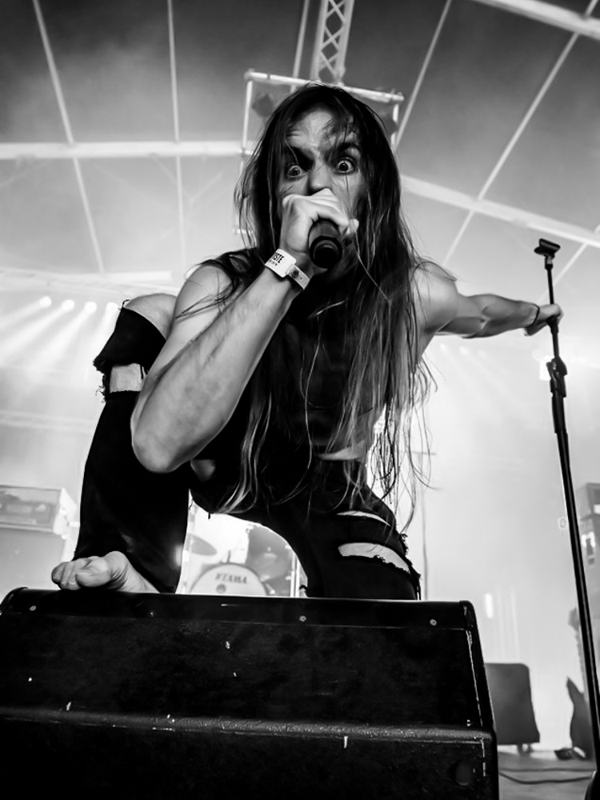 Infestus live