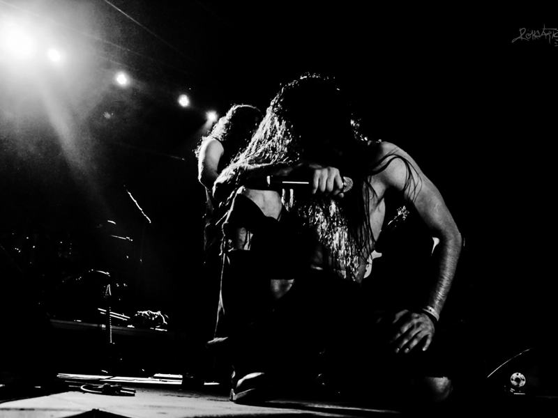 Infestus live