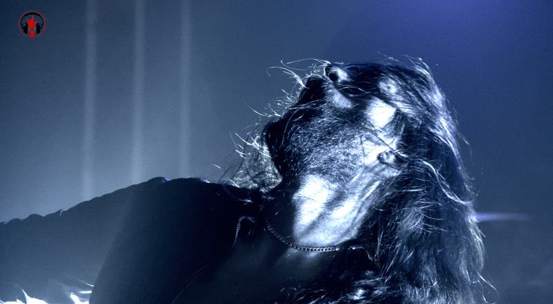 Infestus live
